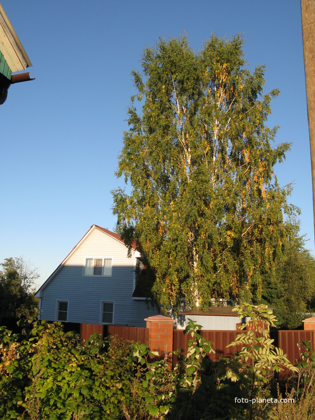 Сыктывкар 2013