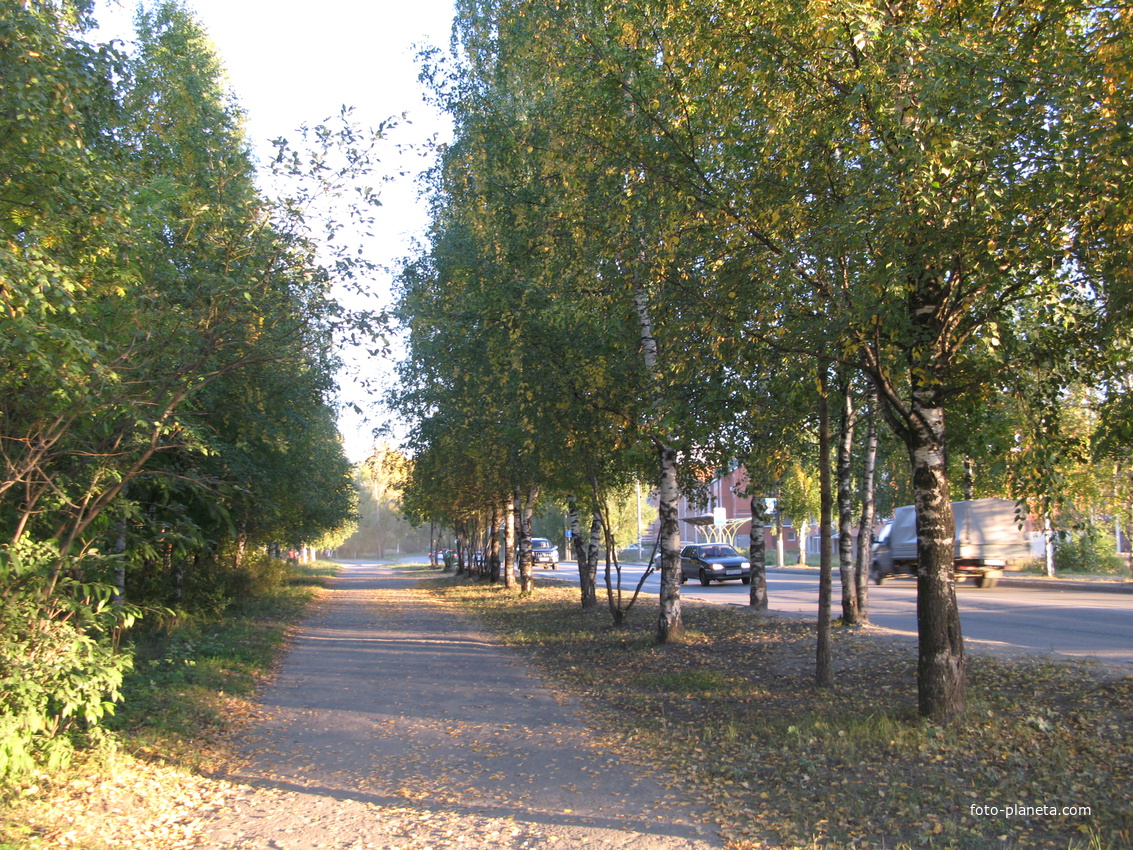 Сыктывкар 2013