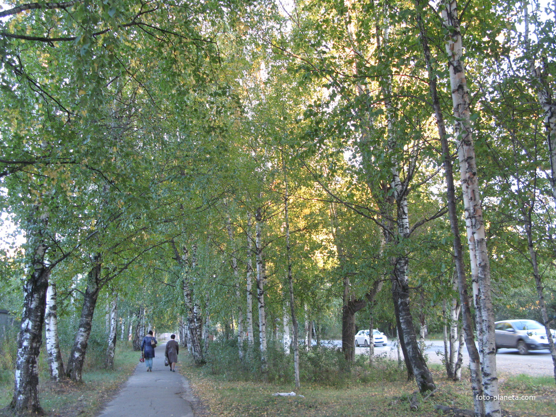 Сыктывкар 2013