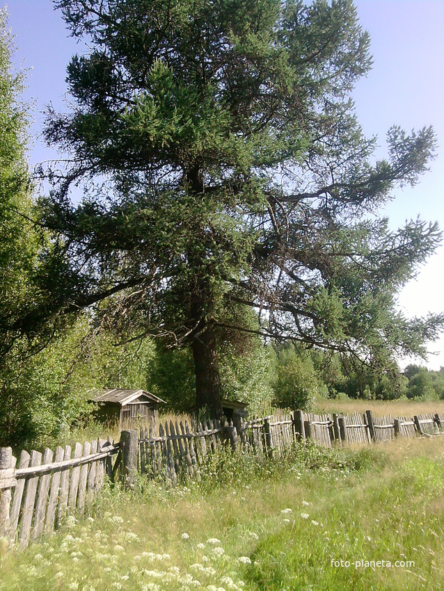 деревня салово