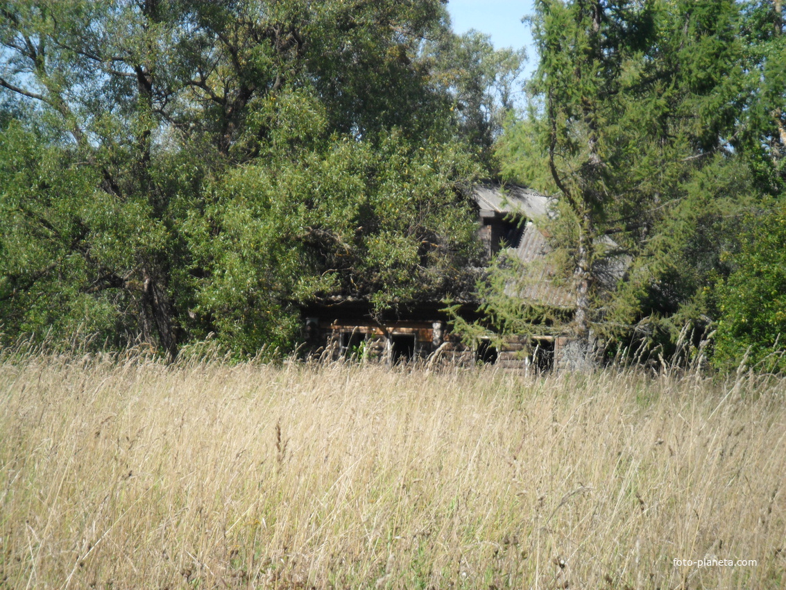 заброшенная деревня головково
