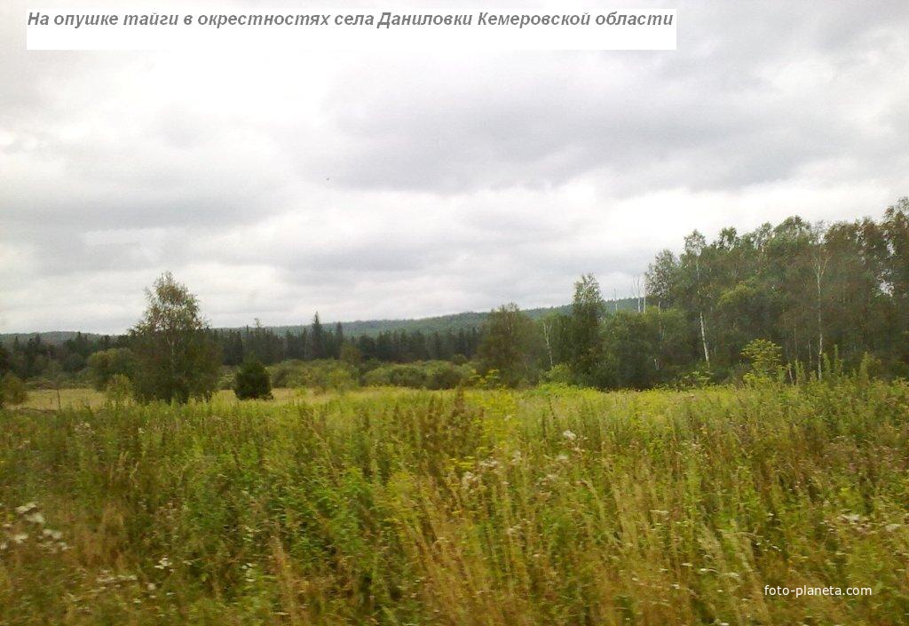 Погода в тайге кемеровская область на 3. Кемеровская область Тяжинский район д Прокопьево. Даниловка Тяжинский район. Село Даниловка Кемеровская область. Кемеровская область Тяжинский район село Даниловка.