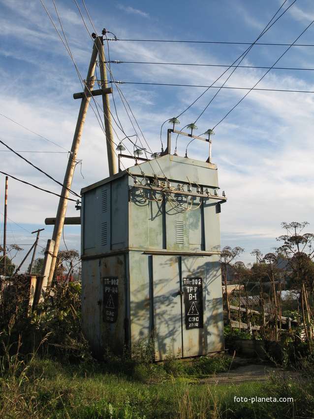 Выльгорт 2013