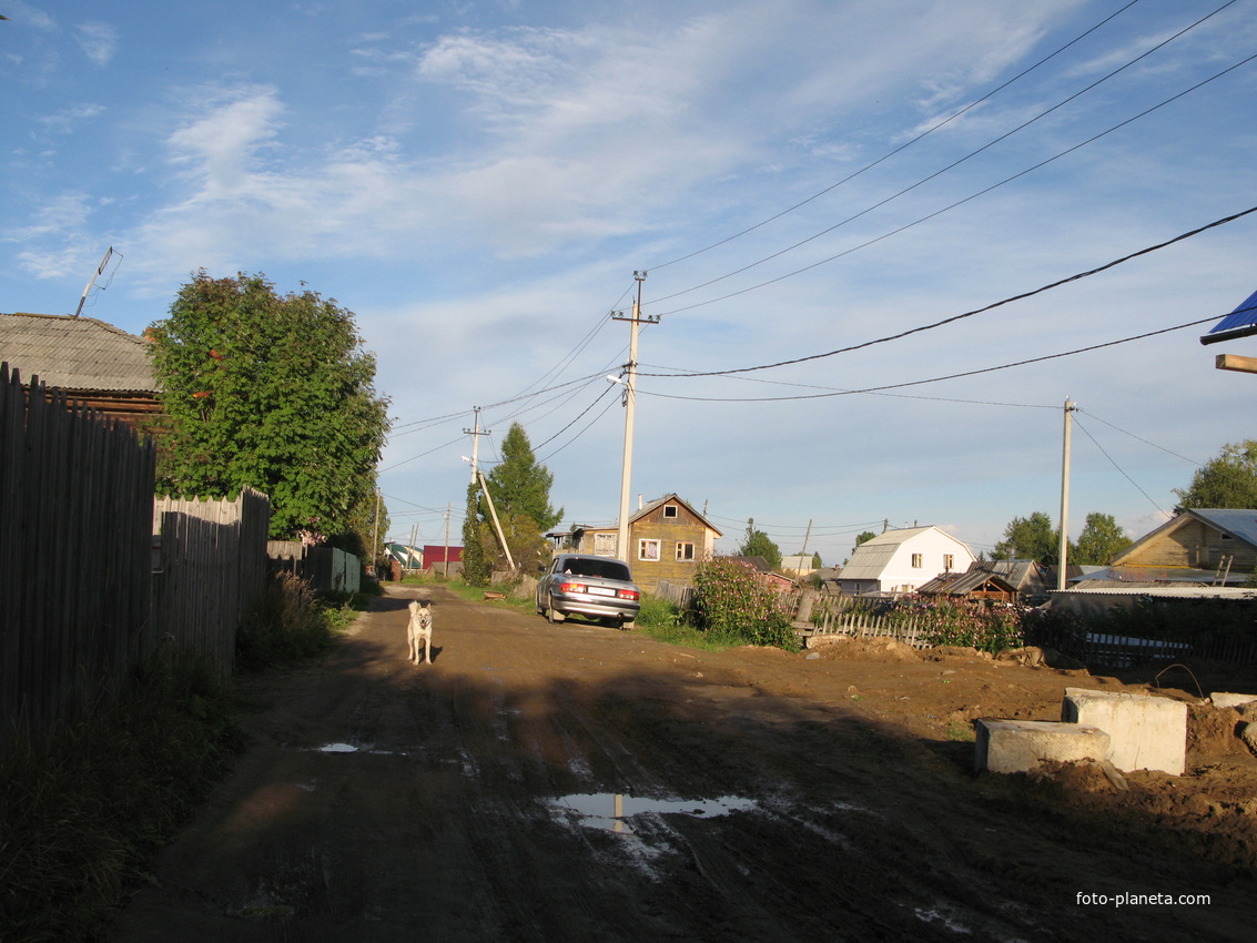 Выльгорт 2013