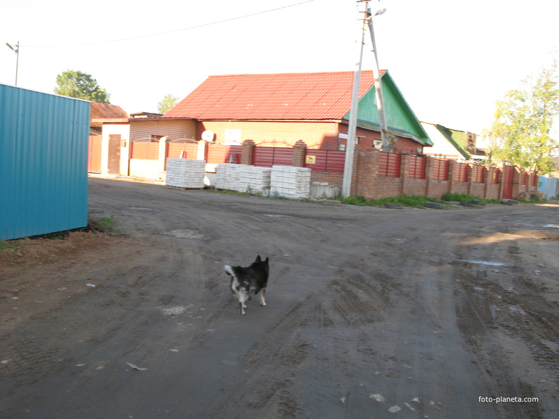 Выльгорт 2013