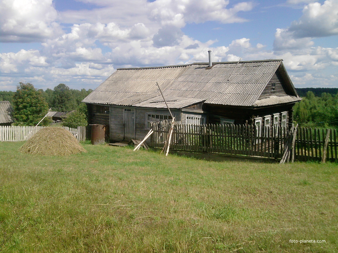 Деревня Боровое Архангельская область.