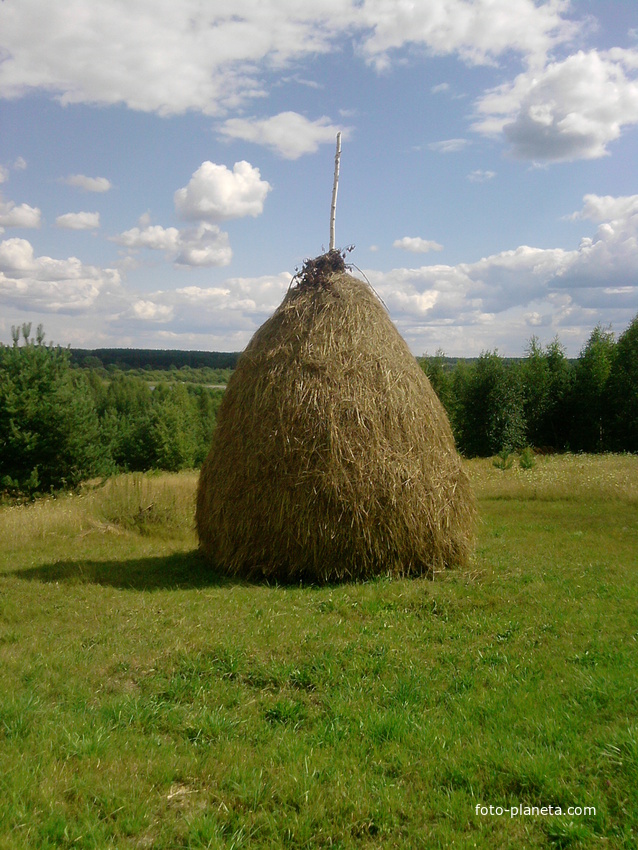 деревня салово