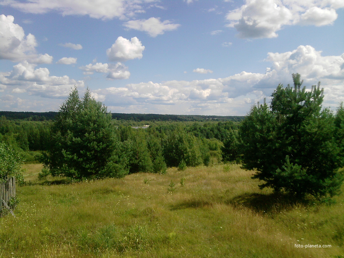 деревня салово