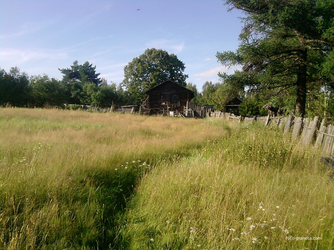 деревня салово