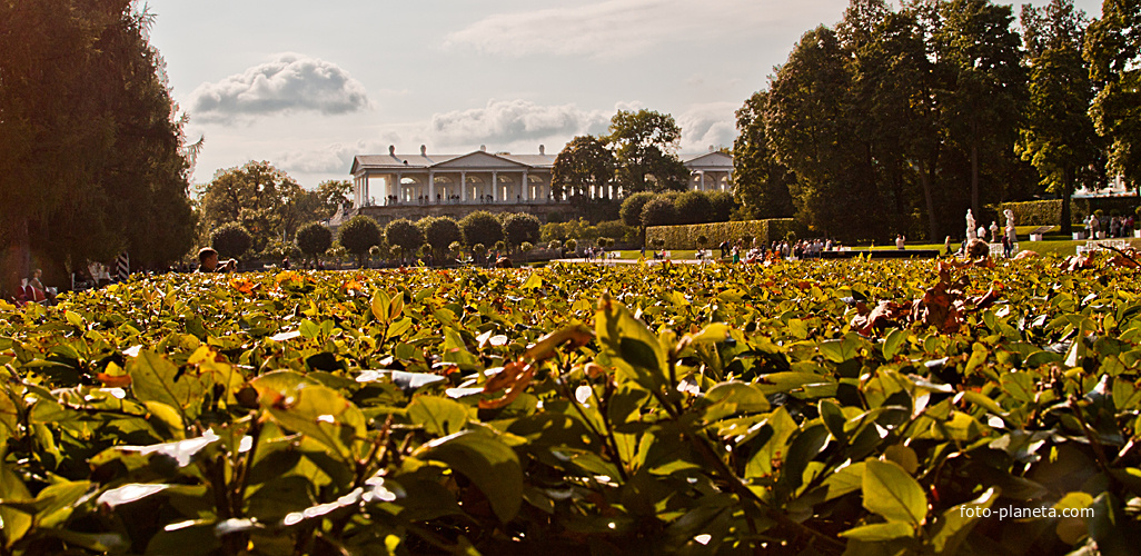 В Екатерининском парке