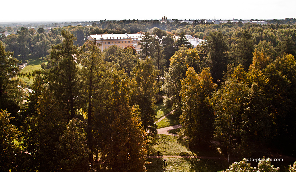 Вид на Пушкин