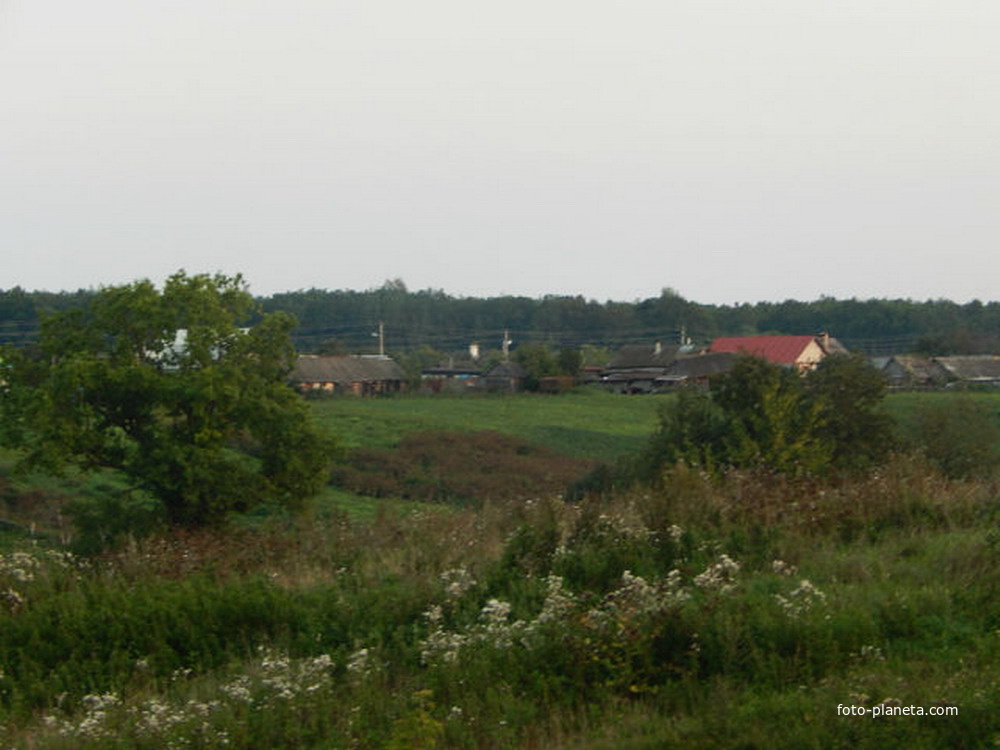 вид на край села