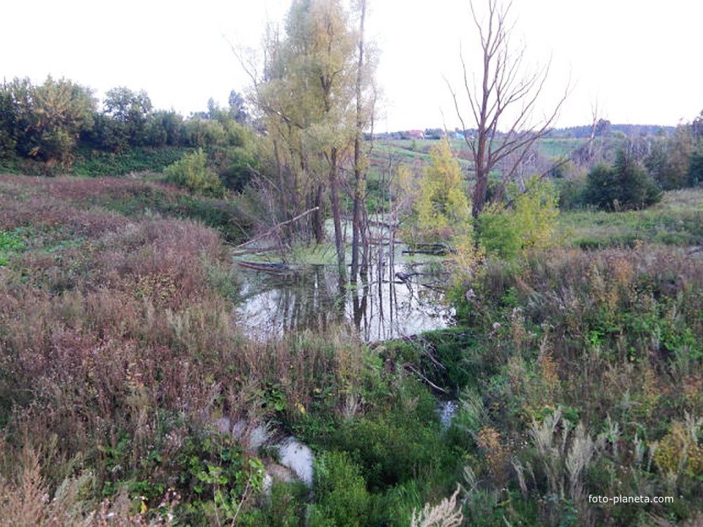 природа около Бессоново