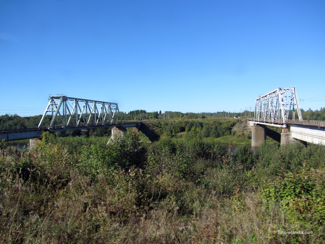 ж/д мост через реку Сясь вблизи Колчаново