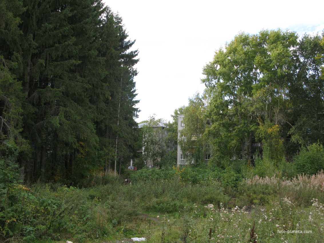 Сыктывкар 2013