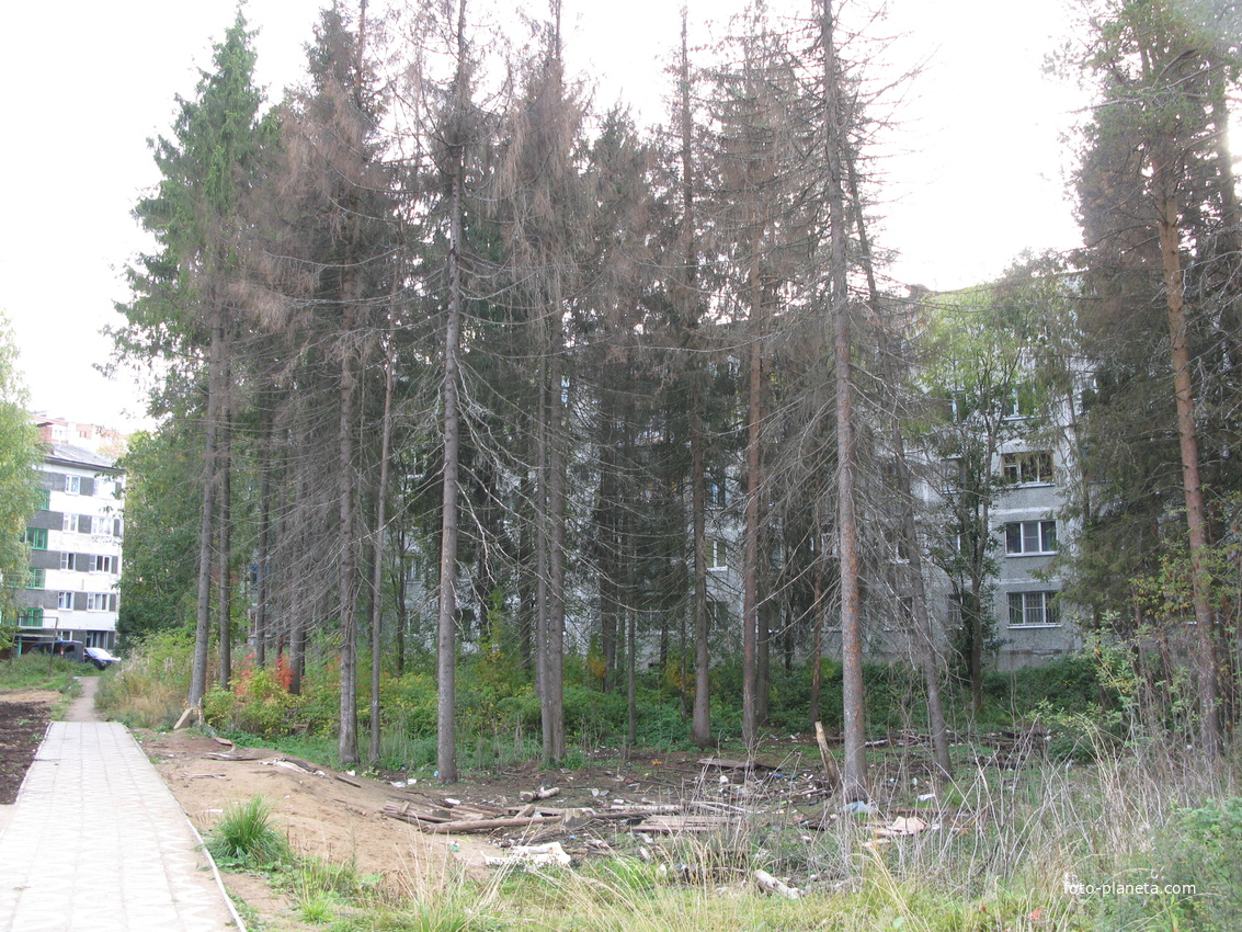 Сыктывкар 2013