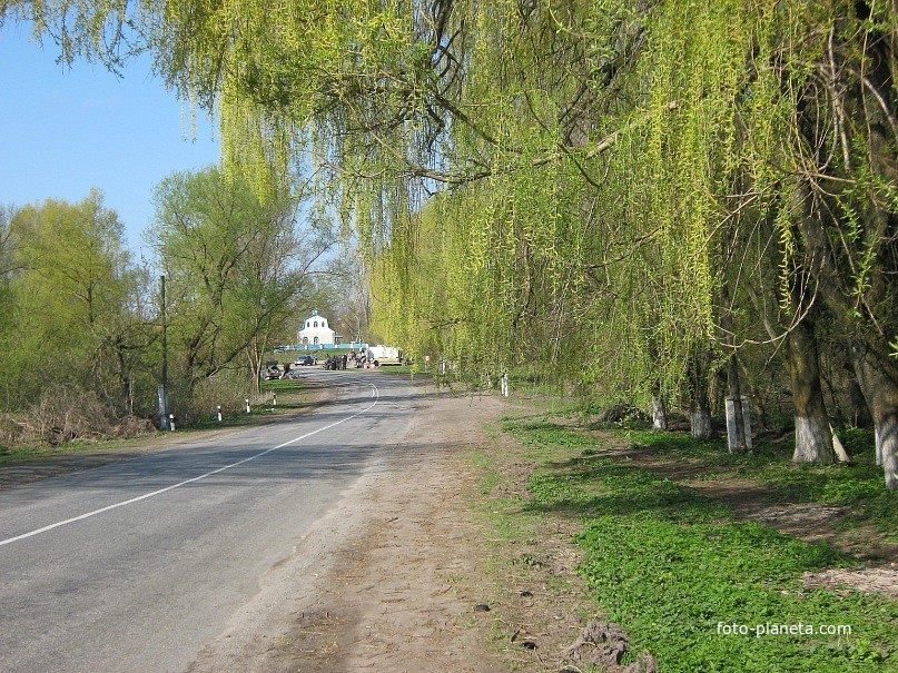 вул центральна. вид на церкву