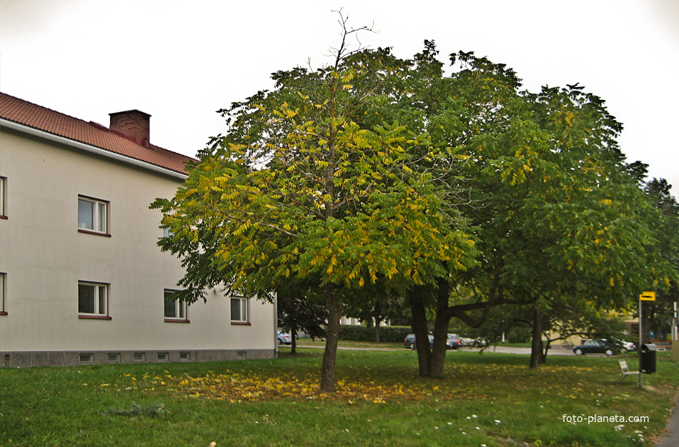 В Лаппеенранте