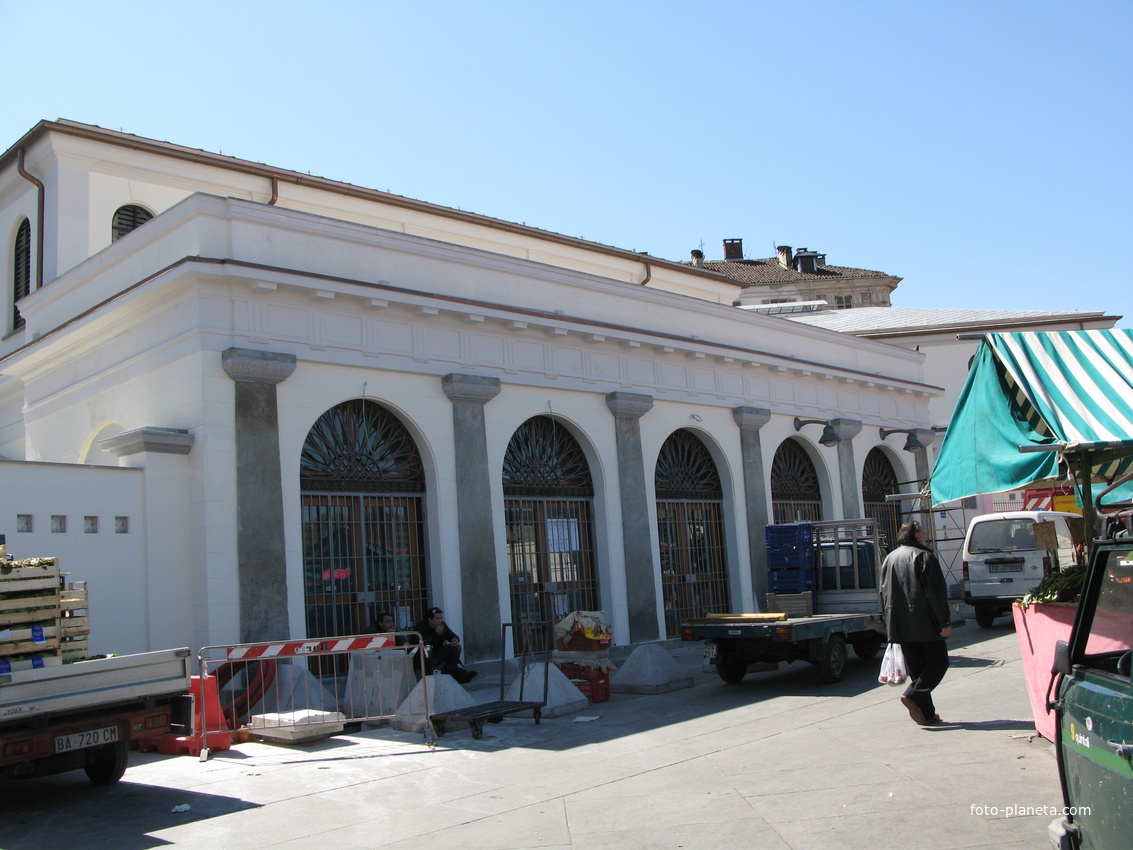 Torino (Турин) 2008