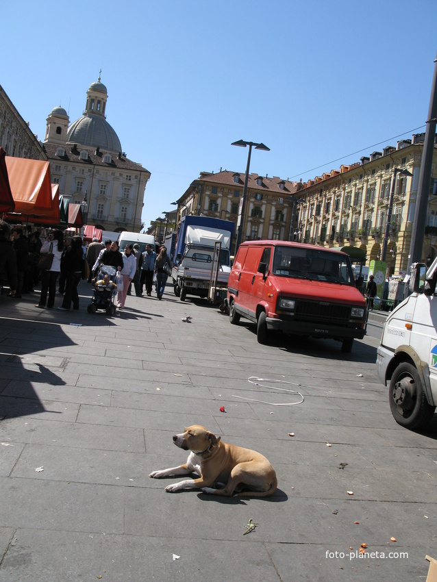 Torino (Турин) 2008