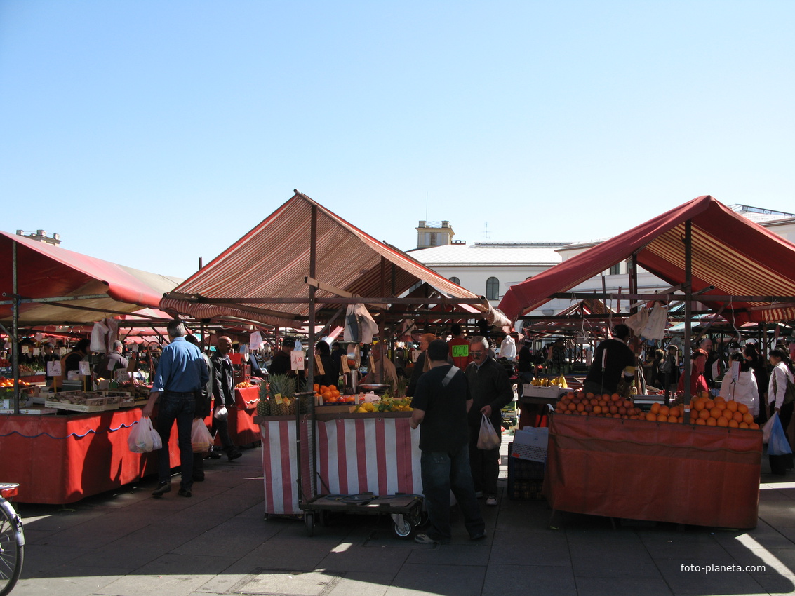 Torino (Турин) 2008