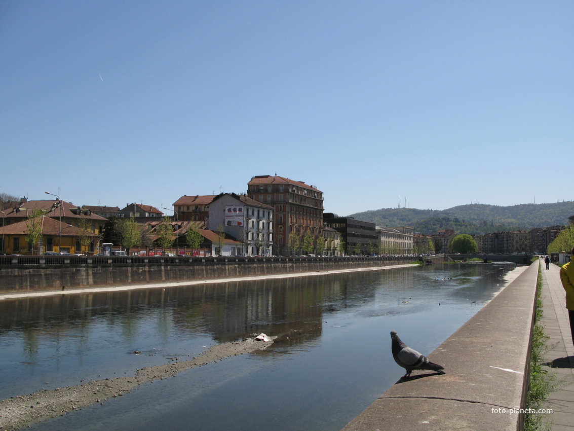 Torino (Турин) 2008