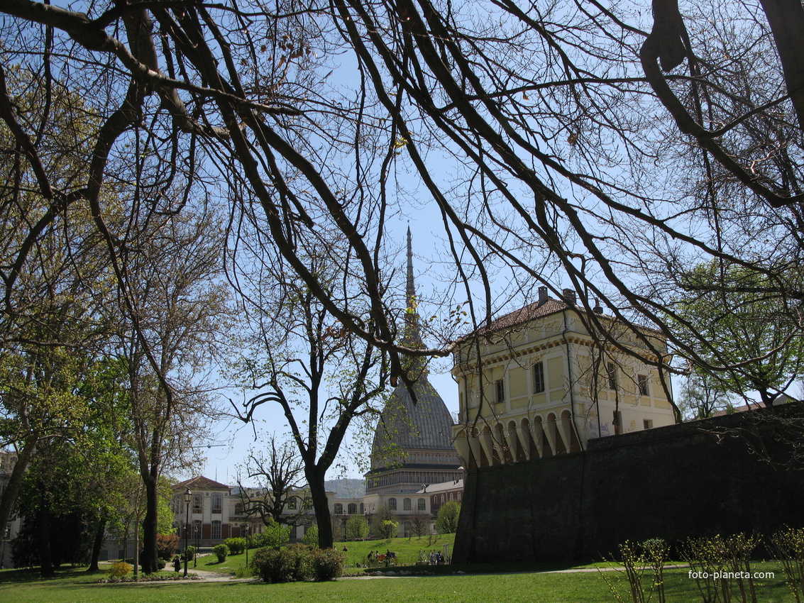 Torino (Турин) 2008