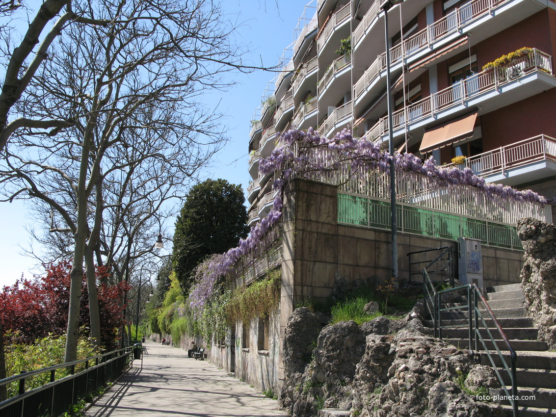 Torino (Турин) 2008