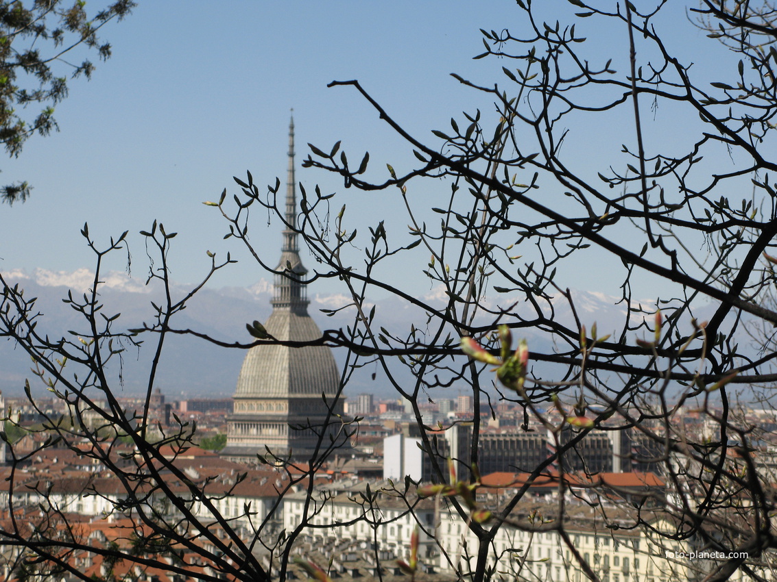 Torino (Турин) 2008