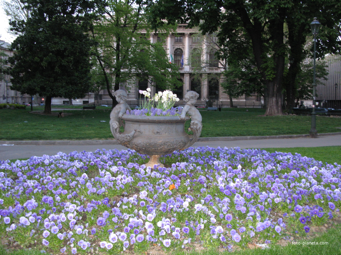 Torino (Турин) 2008