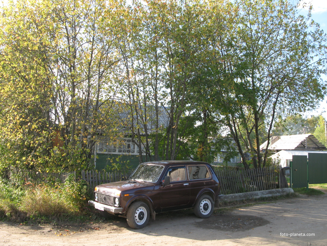 Выльгорт 2013