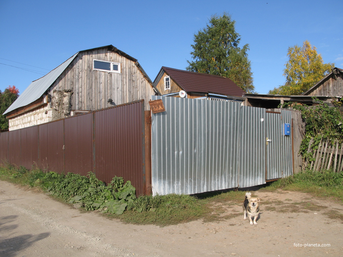 Выльгорт 2013