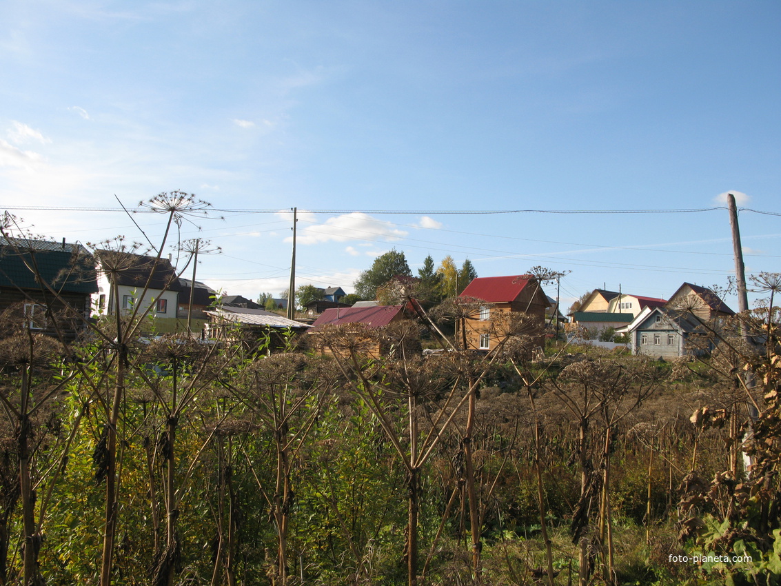 Выльгорт 2013