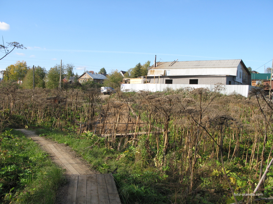 Выльгорт 2013