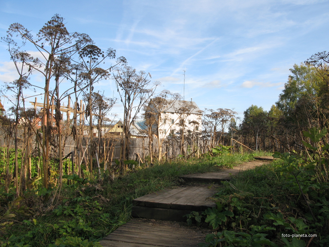 Выльгорт 2013