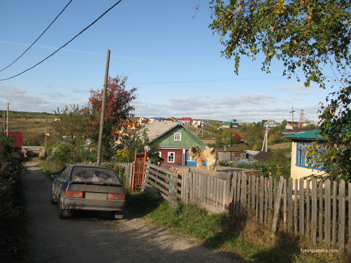 Выльгорт 2013