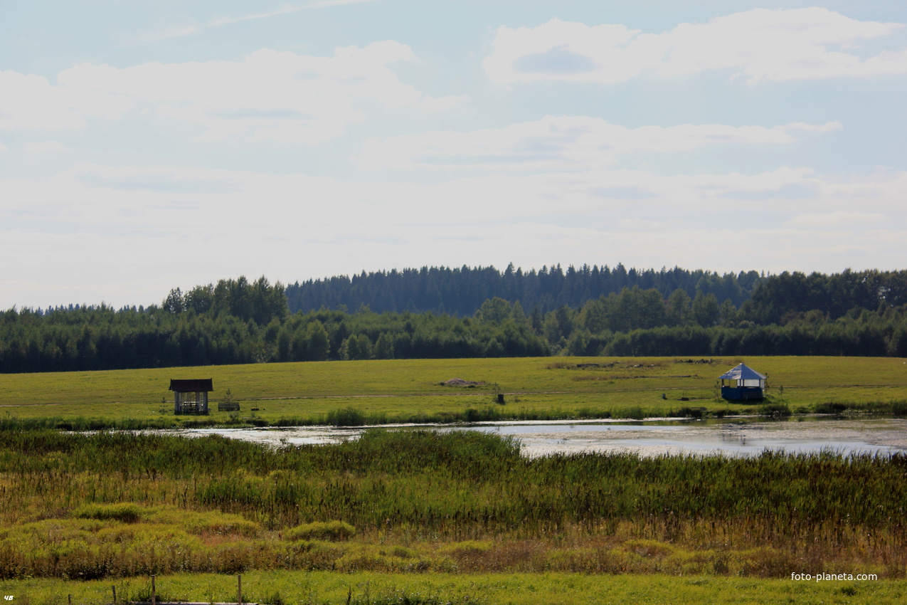 На рукотворном водоеме у Лоховского.