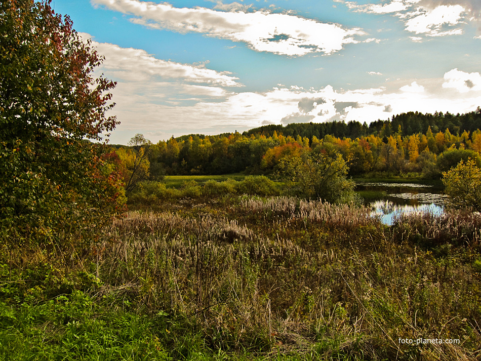 Берег Корелки