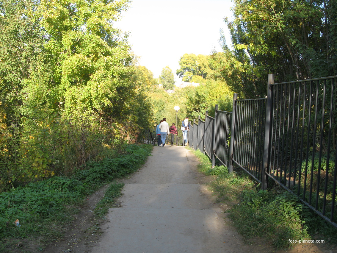 Выльгорт 2013