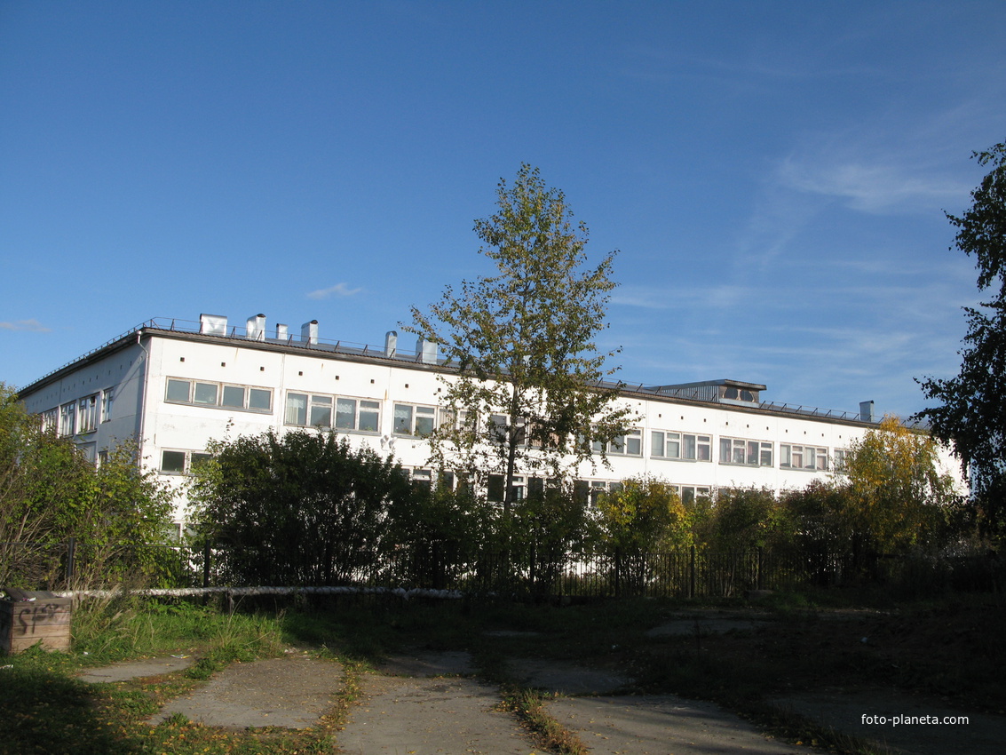 Выльгорт 2013 школа