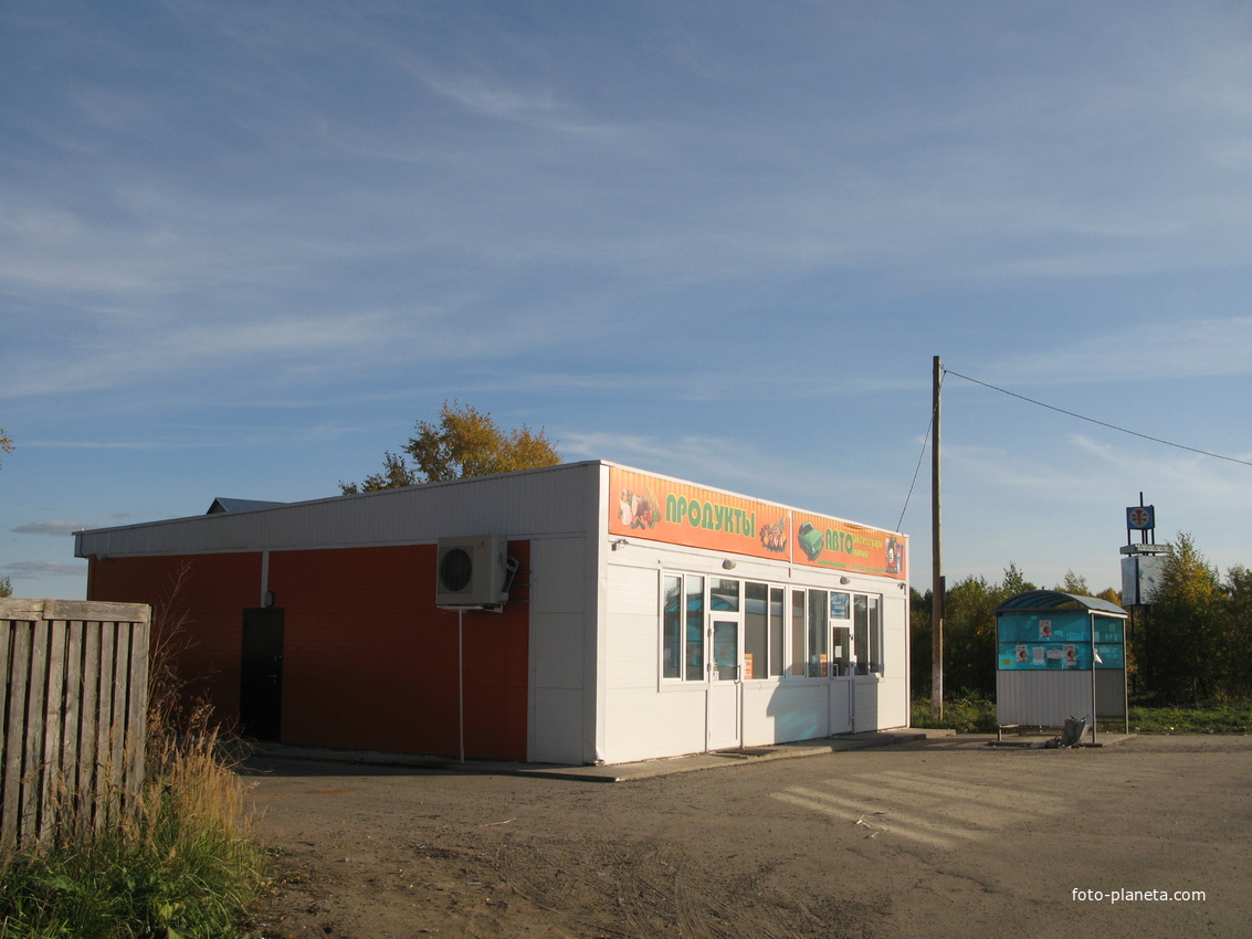 Выльгорт 2013