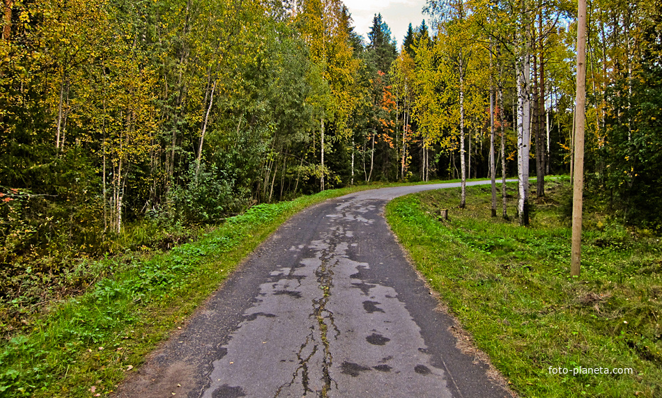 Дорожка в музее