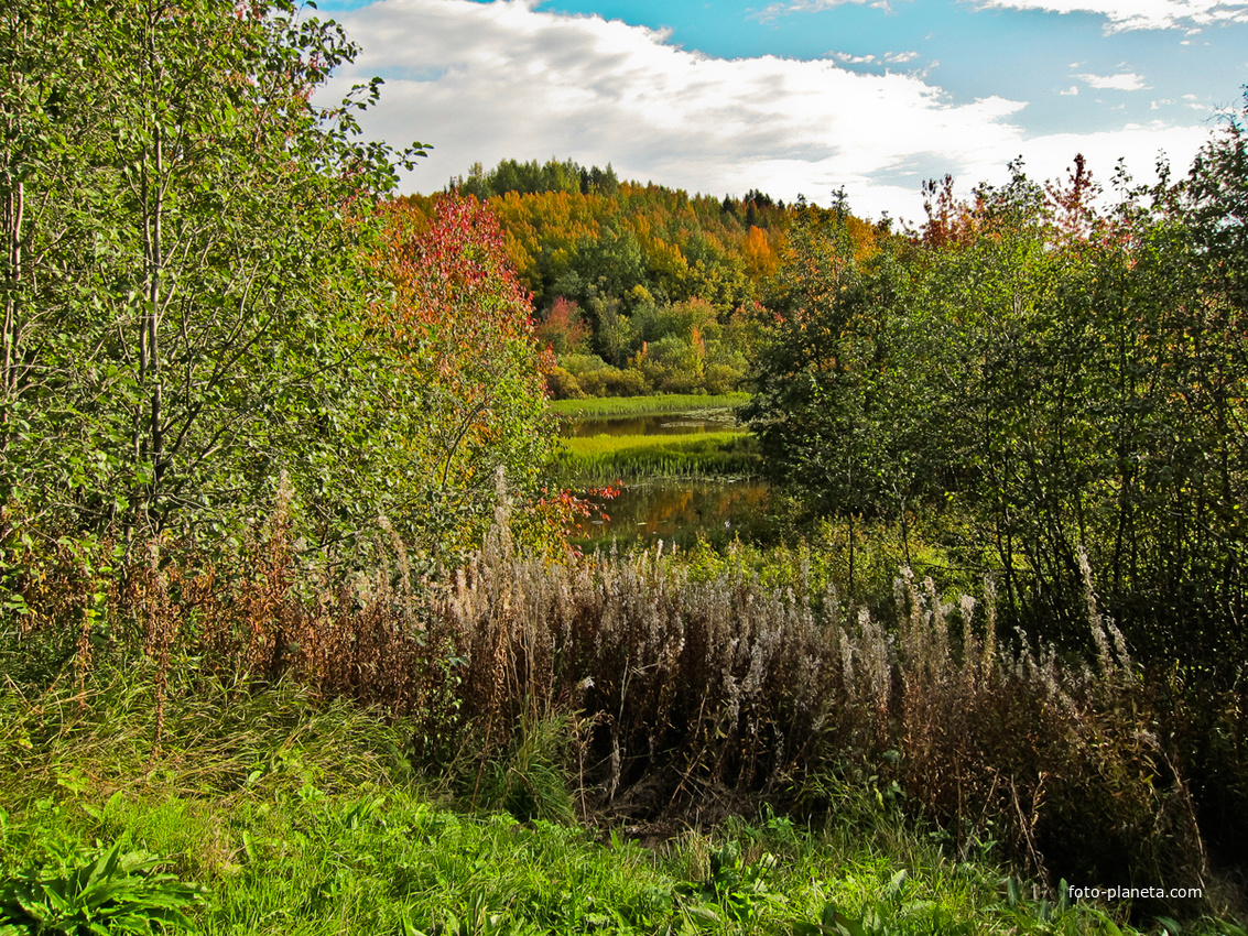 На берегу реки Корелки
