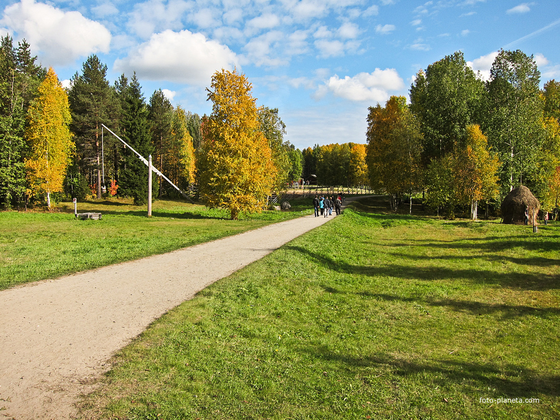 Начало осмотра