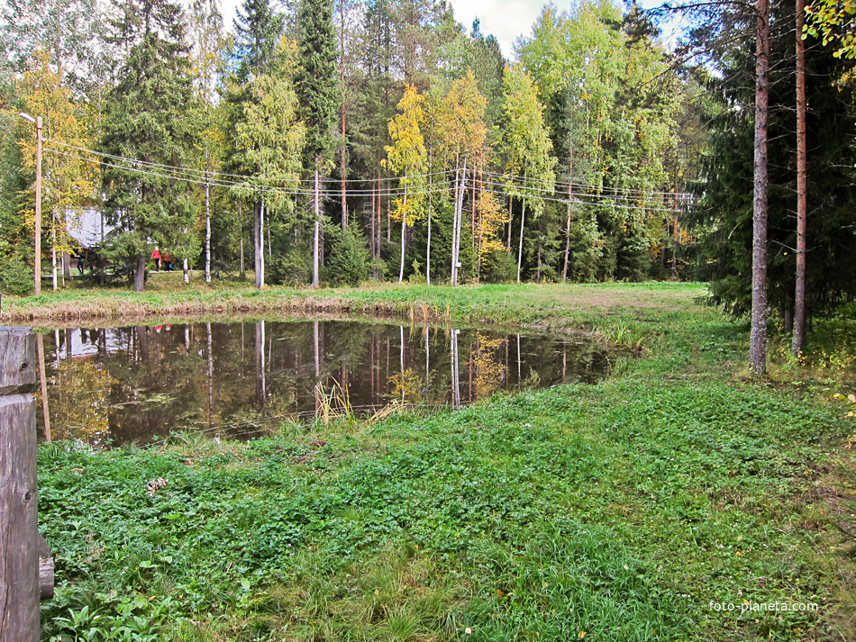 Озерцо в музее