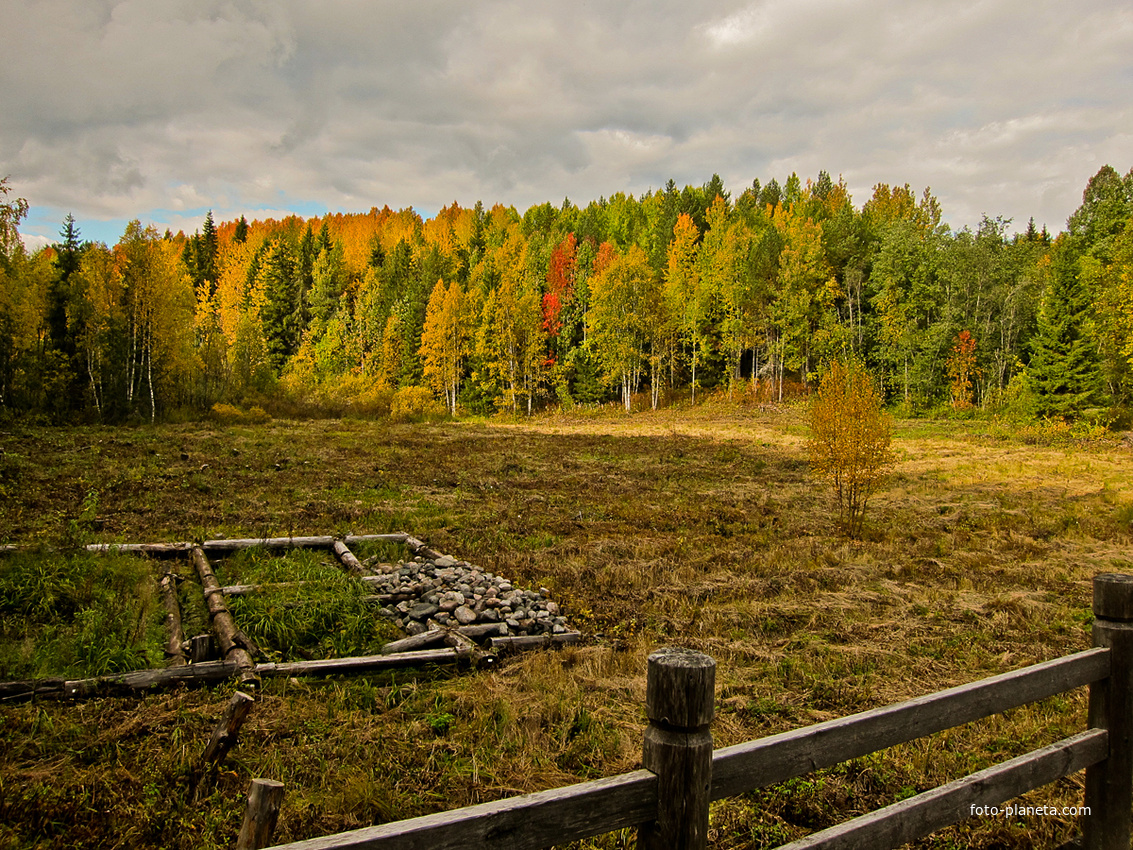 Природа в музее