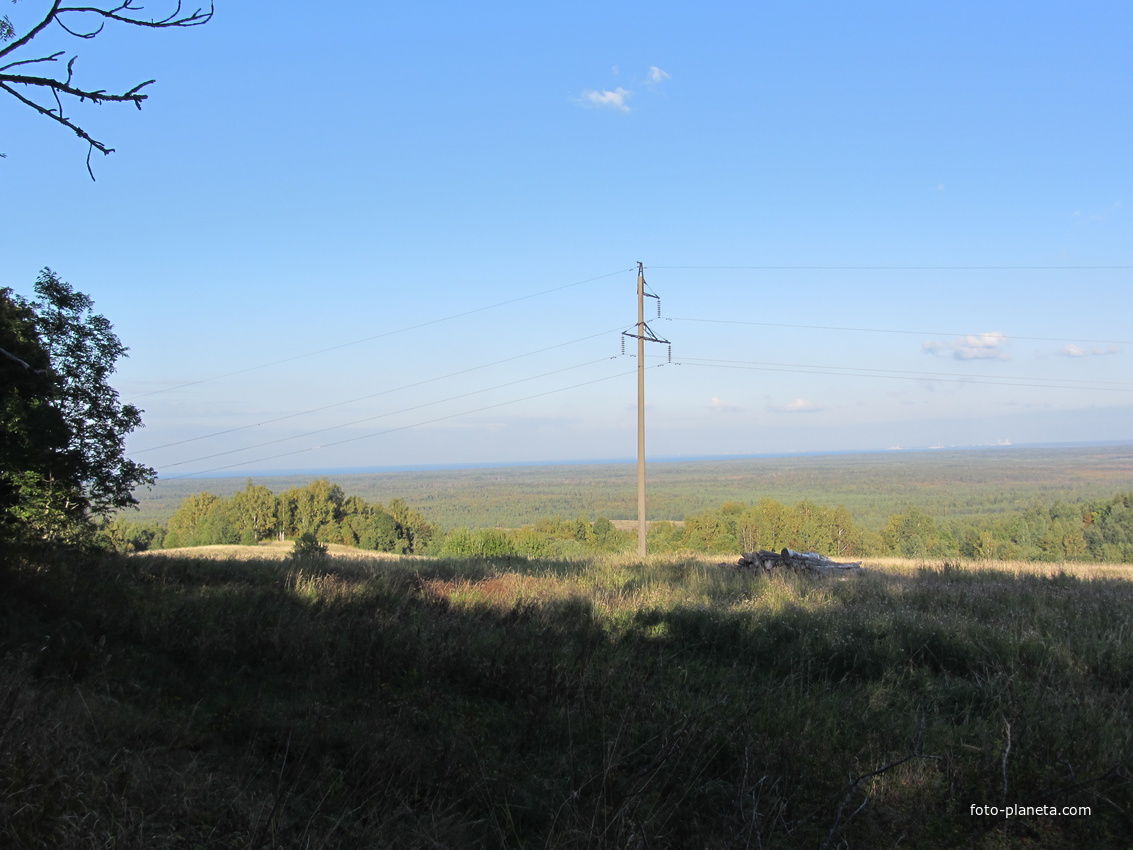 Сойкинская возвышенность