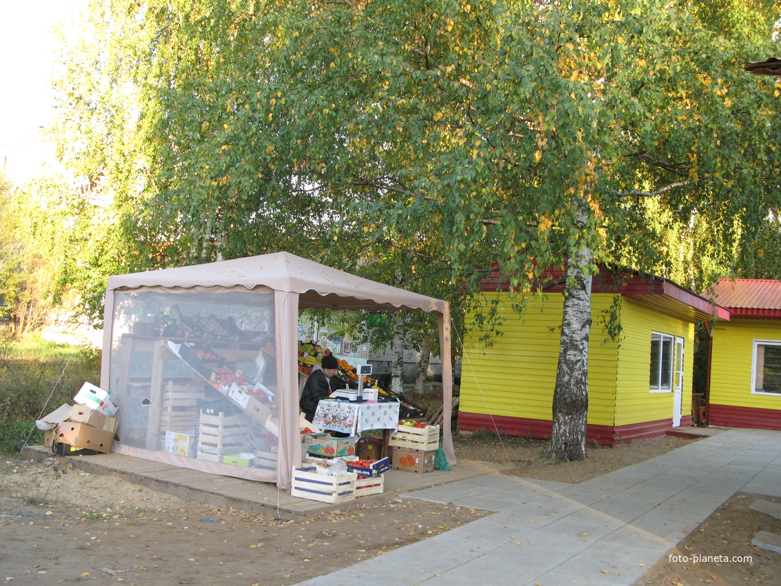 пос. Краснозатонский (Сыктывкар) 2013