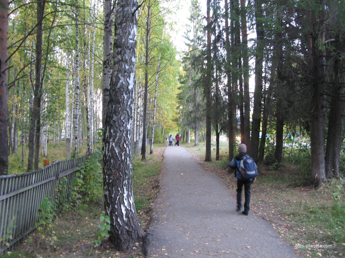 пос. Краснозатонский (Сыктывкар) 2013