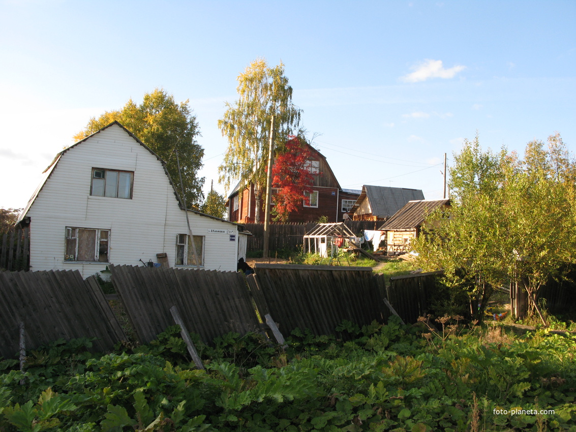 Выльгорт 2013